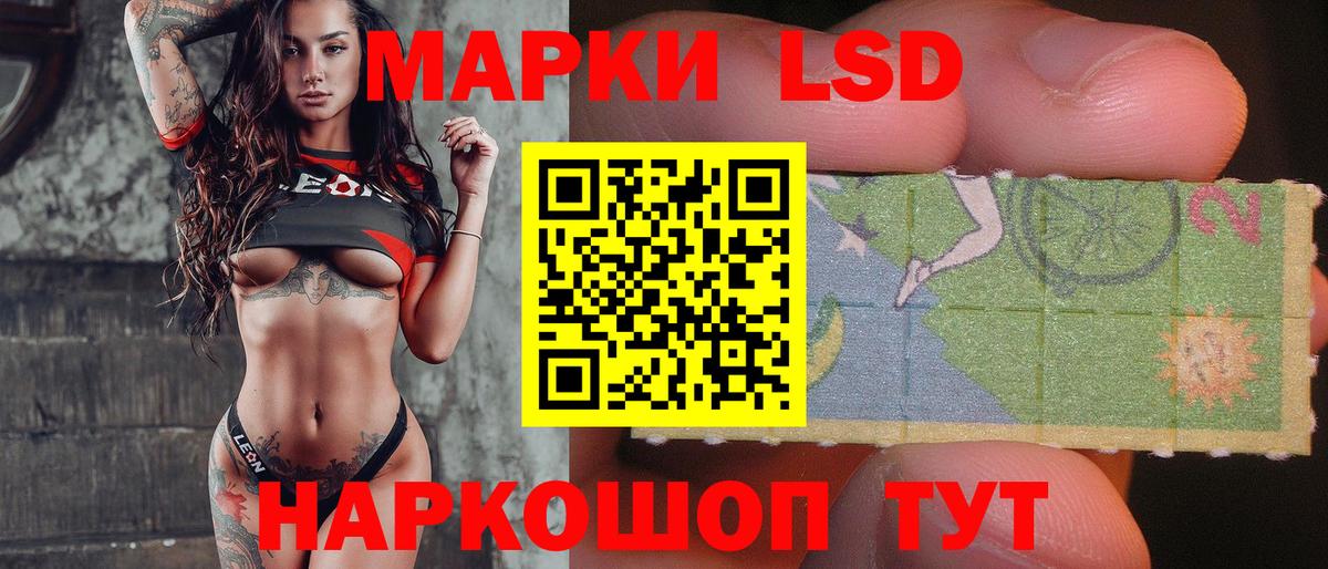 Псилоцибиновые грибы Воркута