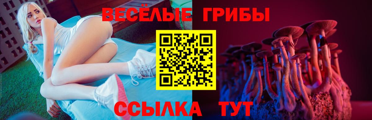 Псилоцибиновые грибы прущие грибы Воркута